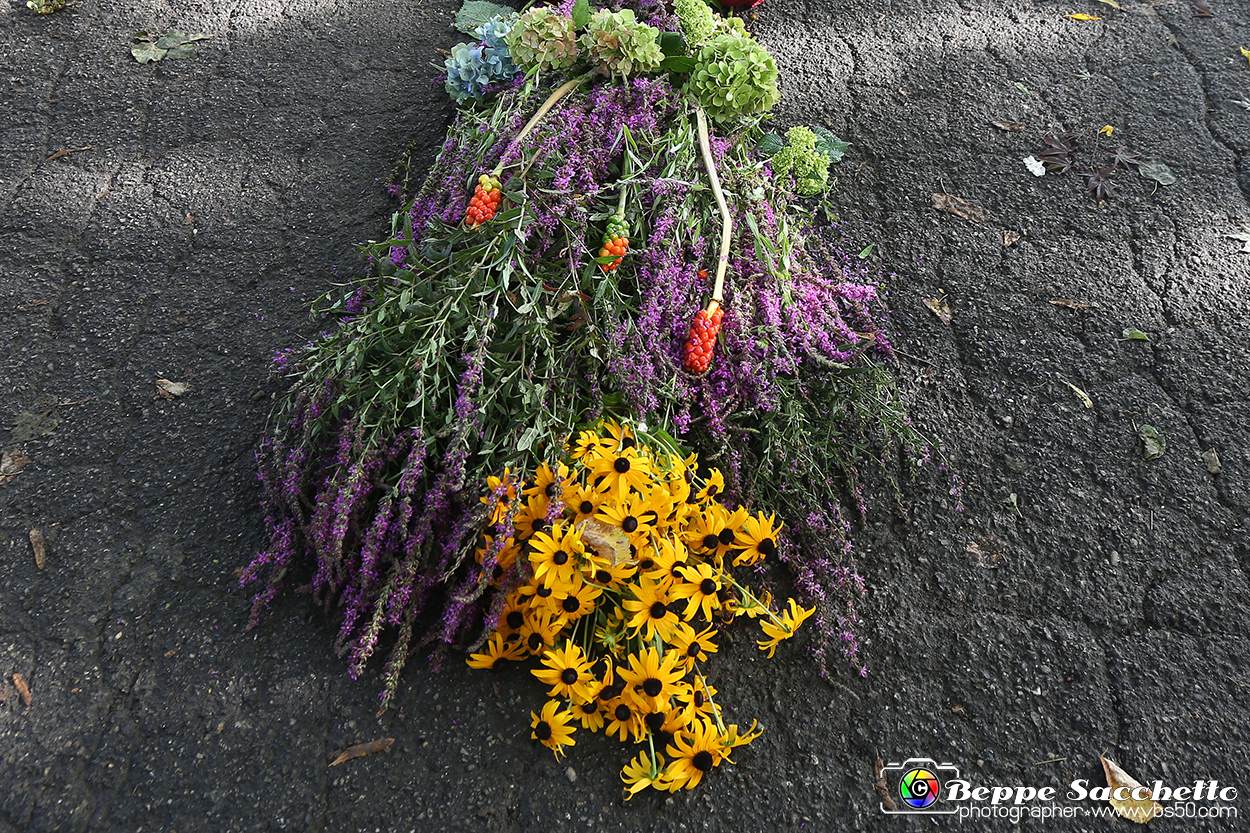 VBS_9540 - Infiorata di Villanova d'Asti 2023.jpg
